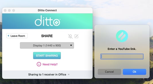 The YouTube link input in the Ditto Connect app for Mac