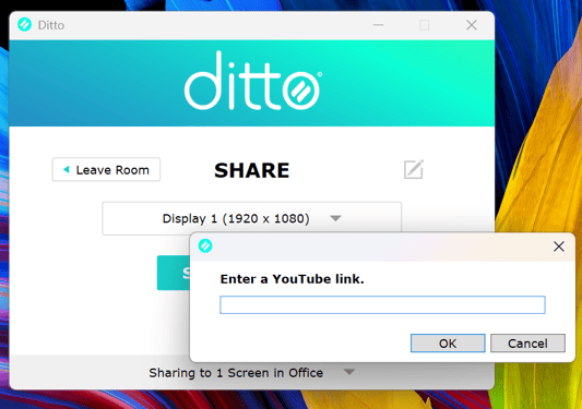 The YouTube link input in the Ditto Connect app for Windows