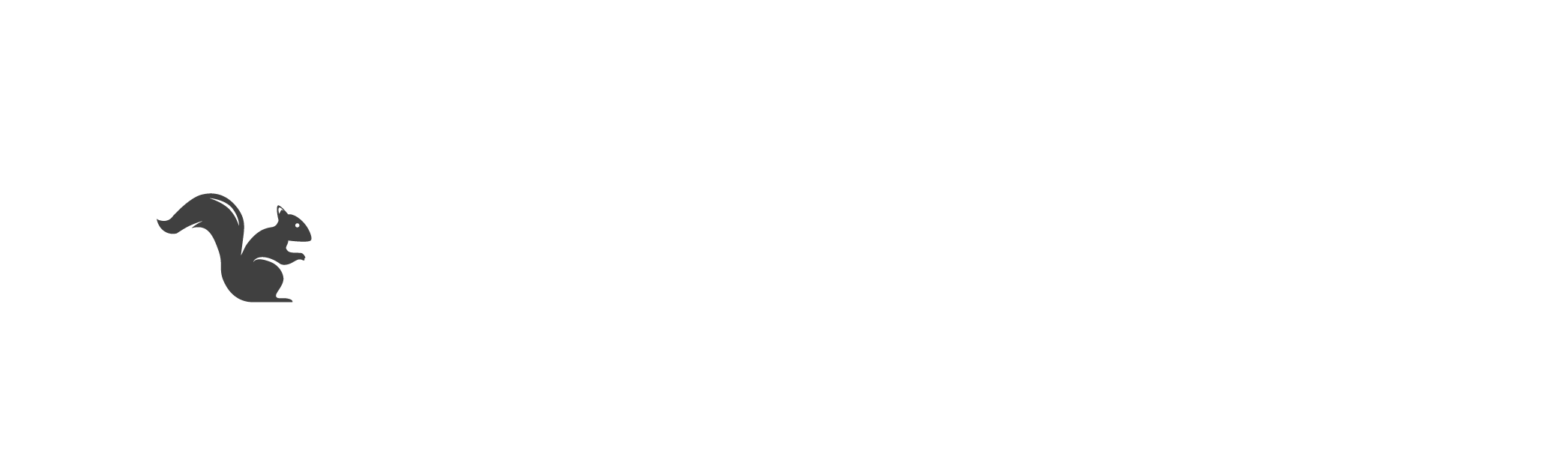 Squirrels